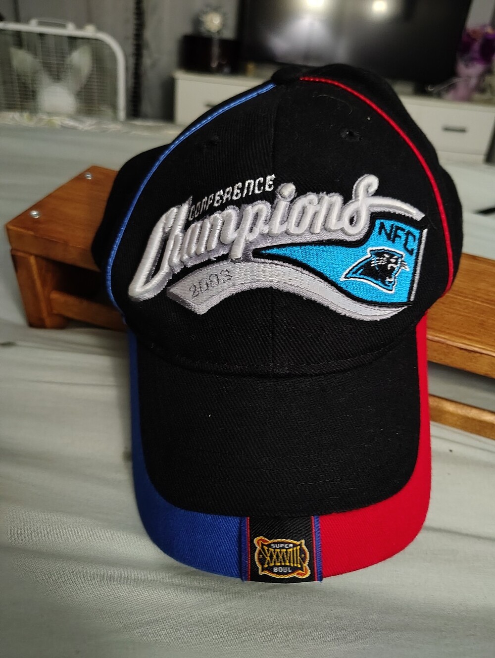 Panthers NFC 2003 Locker Room Hat